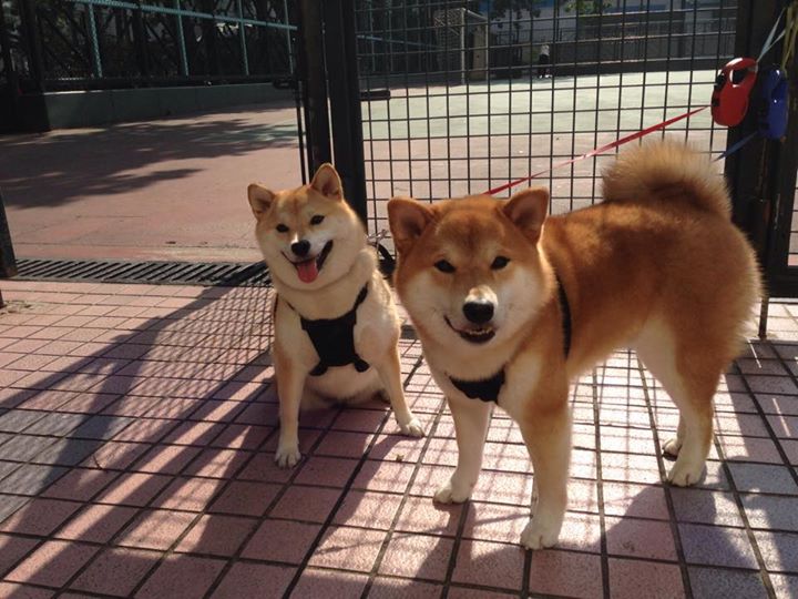 “挥拍如风,壁球挑战极限!高新区全民健身馆迎来速度与耐力之战”