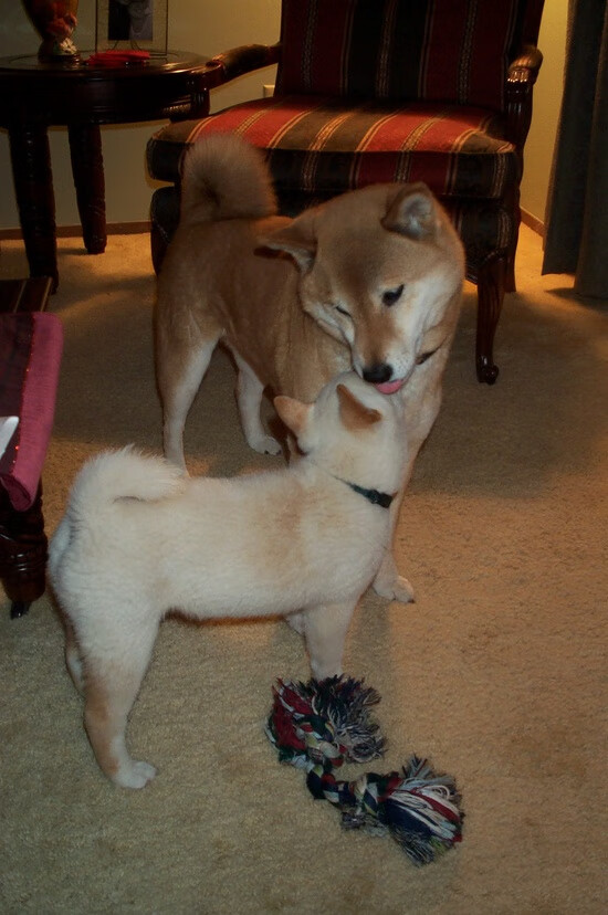 “选手奋力拼搏,武汉马拉松冲刺阶段见证奇迹”