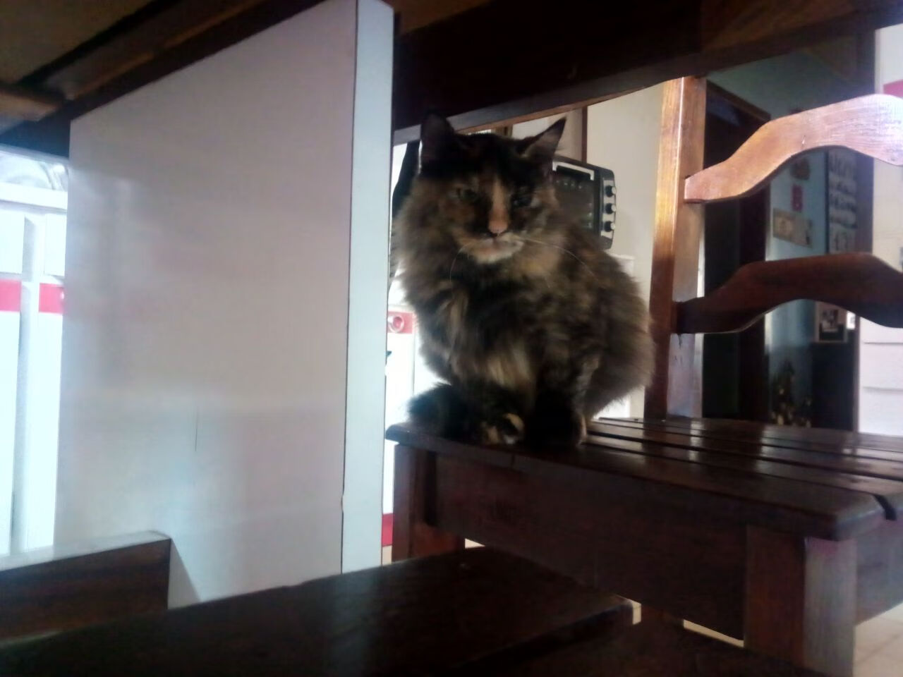 爱游戏-中超赛事主客场氛围营造纳入考核机制，中超联赛的参与机制