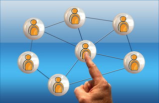 爱游戏体育在线-体育新闻中心联合高校开展体育传媒创新创业大赛，体育产业创新创业大赛