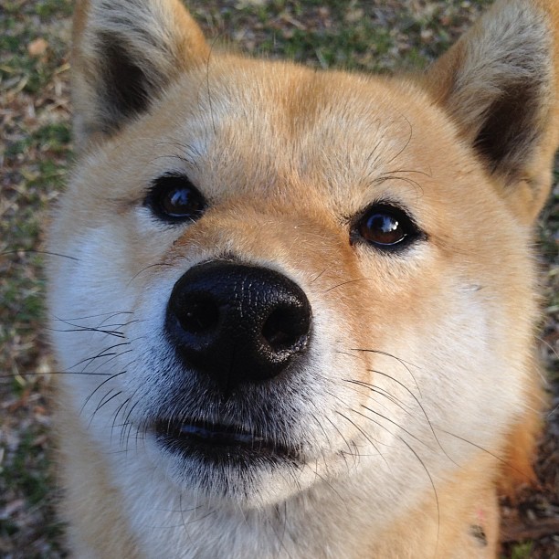 国家队选拔公平性存疑,国家队选拔赛