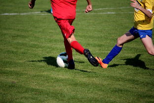 爱游戏app注册-国际足球俱乐部青训论坛在广州召开，国际足联青训补偿标准