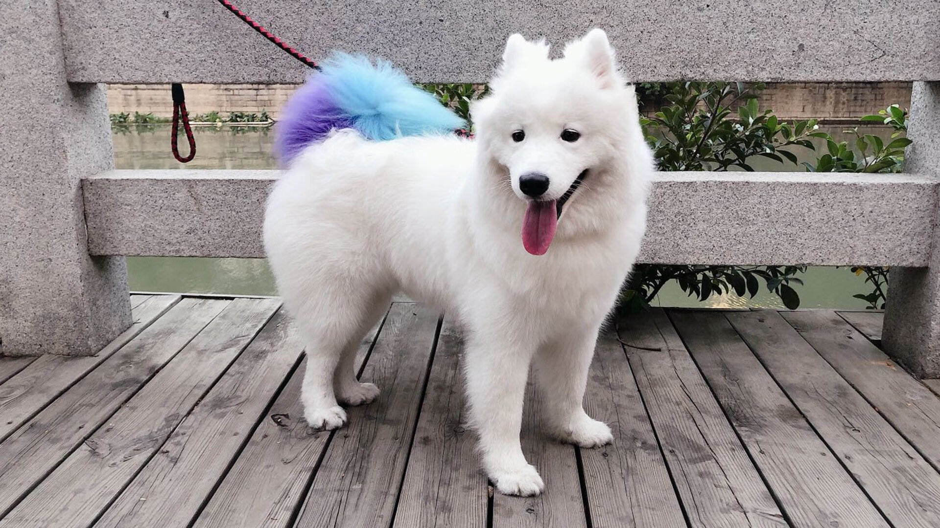 奥预赛中国队战平 球迷呼吁增强团队协作,奥预赛赛程