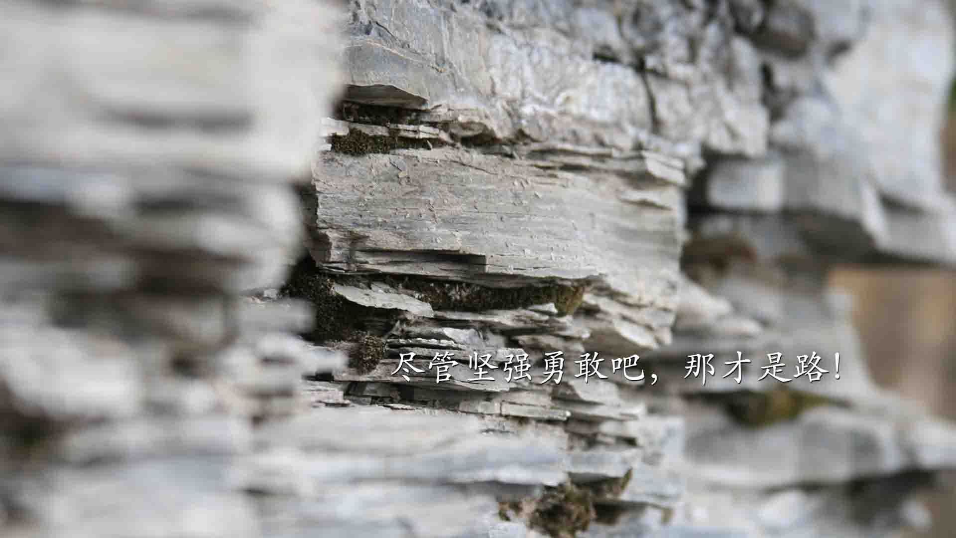 爱游戏app活动-教练培训系统开设在线实践课程模块，教练员培训实践课教案