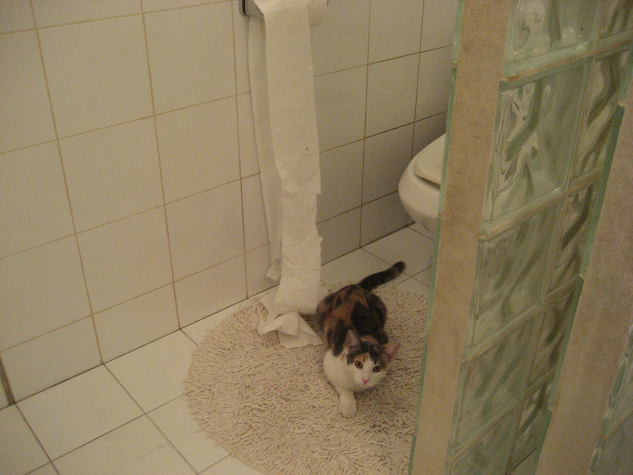 瑞典队乒乓战术:如何化解对手的强力进攻,曾经的瑞典乒乓球非常强大