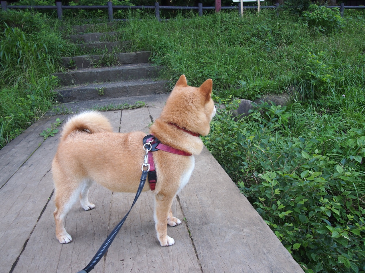 爱游戏体育入口-三分球大战上演，命中率刷新赛季纪录，三分球命中榜