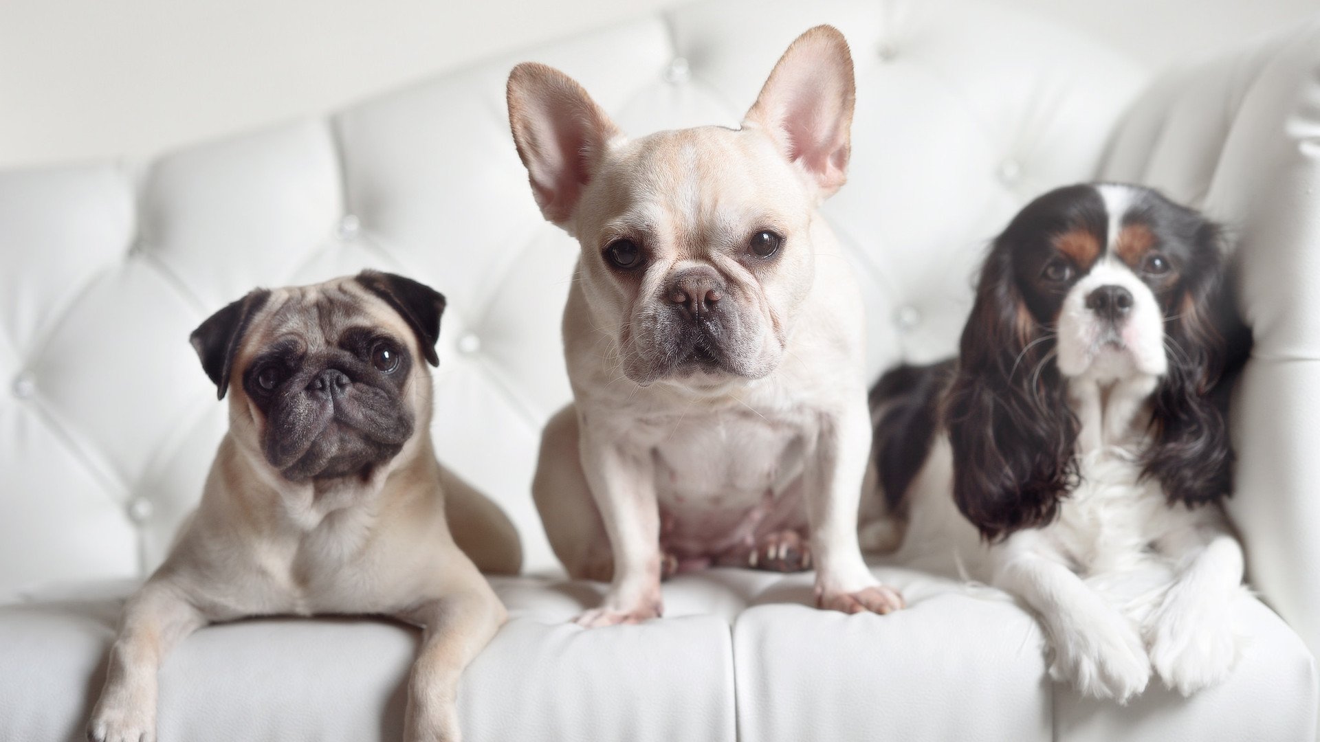 全国篮球教师培训制度逐步建立提升基层教学质量,教师篮球培训方案