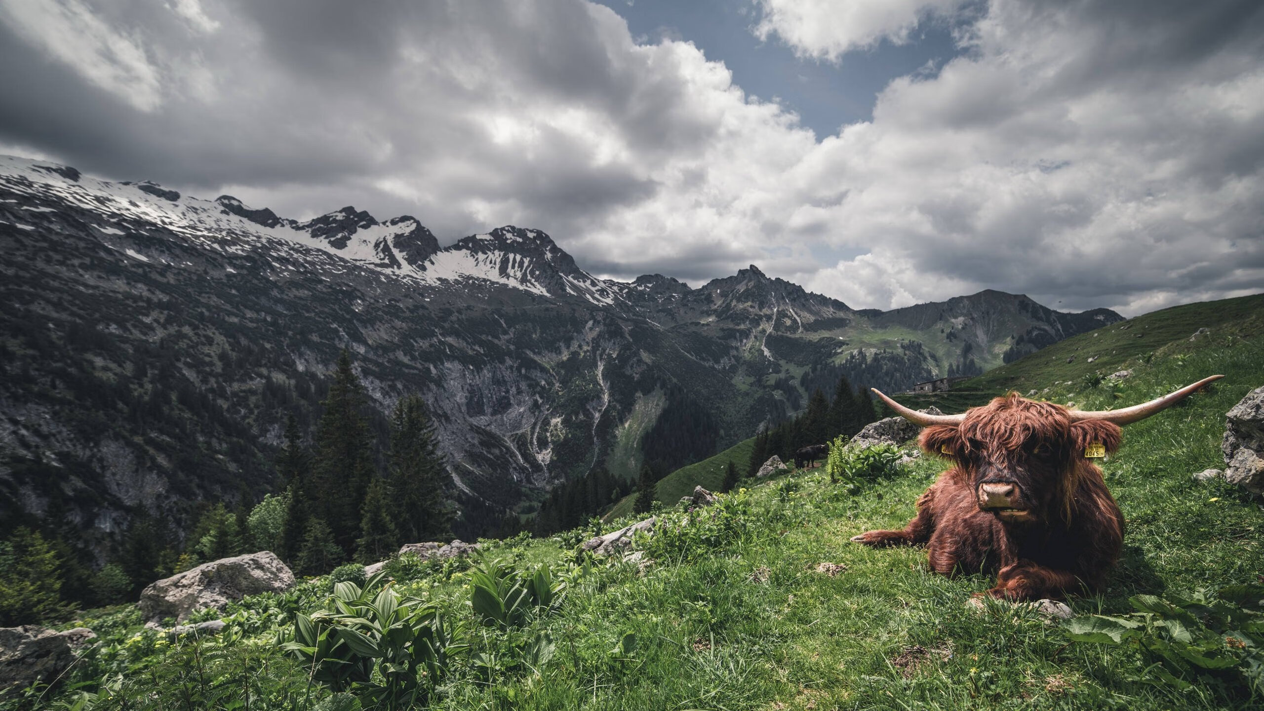 意甲公共交通与赛事同步改善
