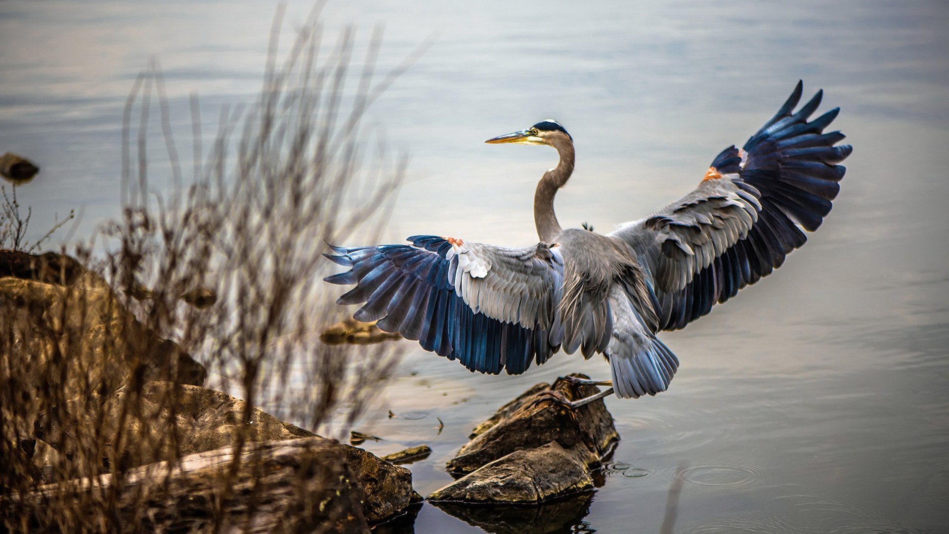 爱游戏体育在线-杰克·阿莱克西赛后感谢团队支持，杰克阿西斯