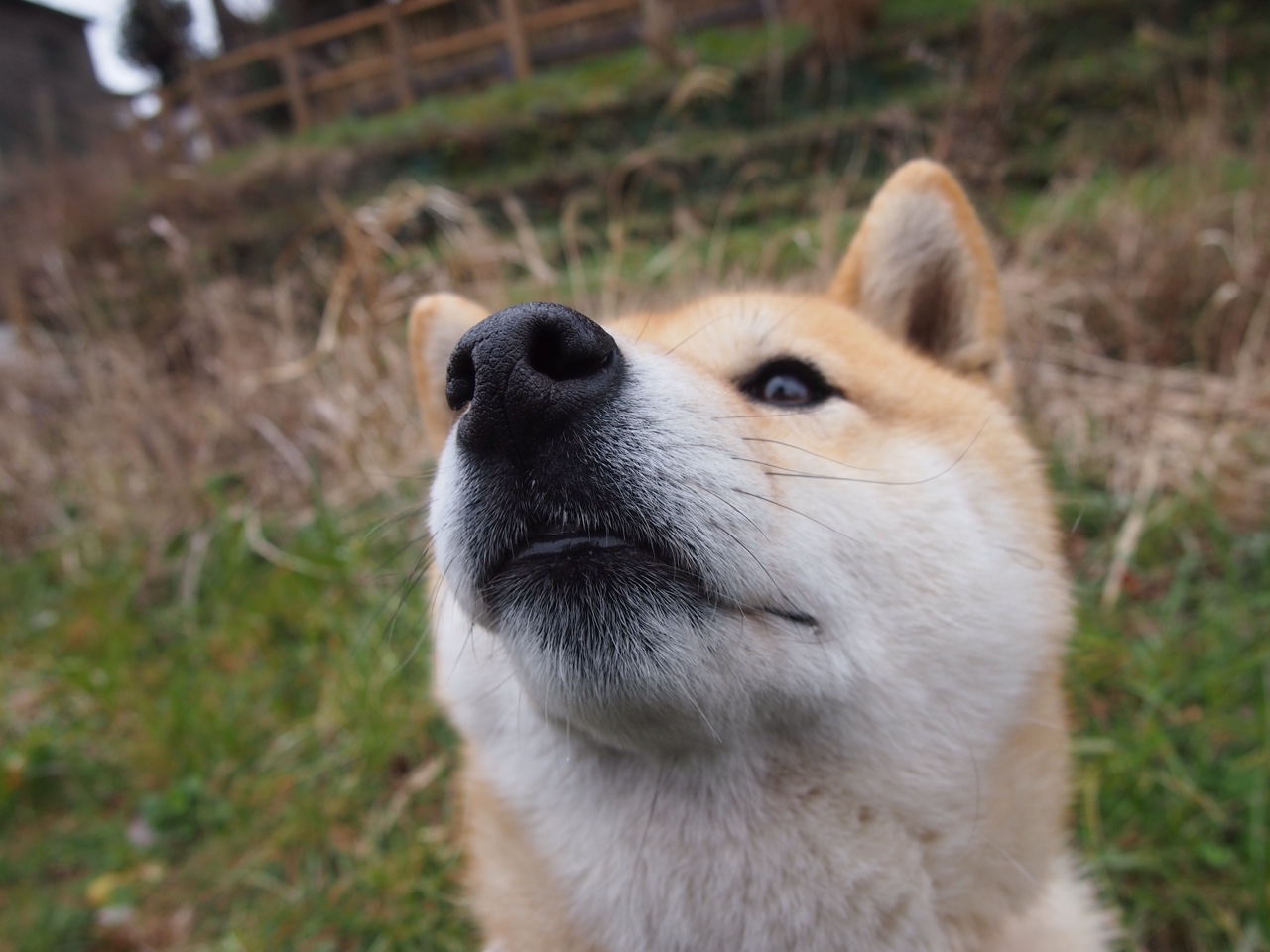 英超冲刺无限：悬念、精彩持续升温！，英超 满场